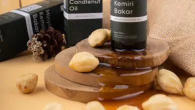 Apakah Minyak Kemiri Bisa Bikin Rambut Rontok